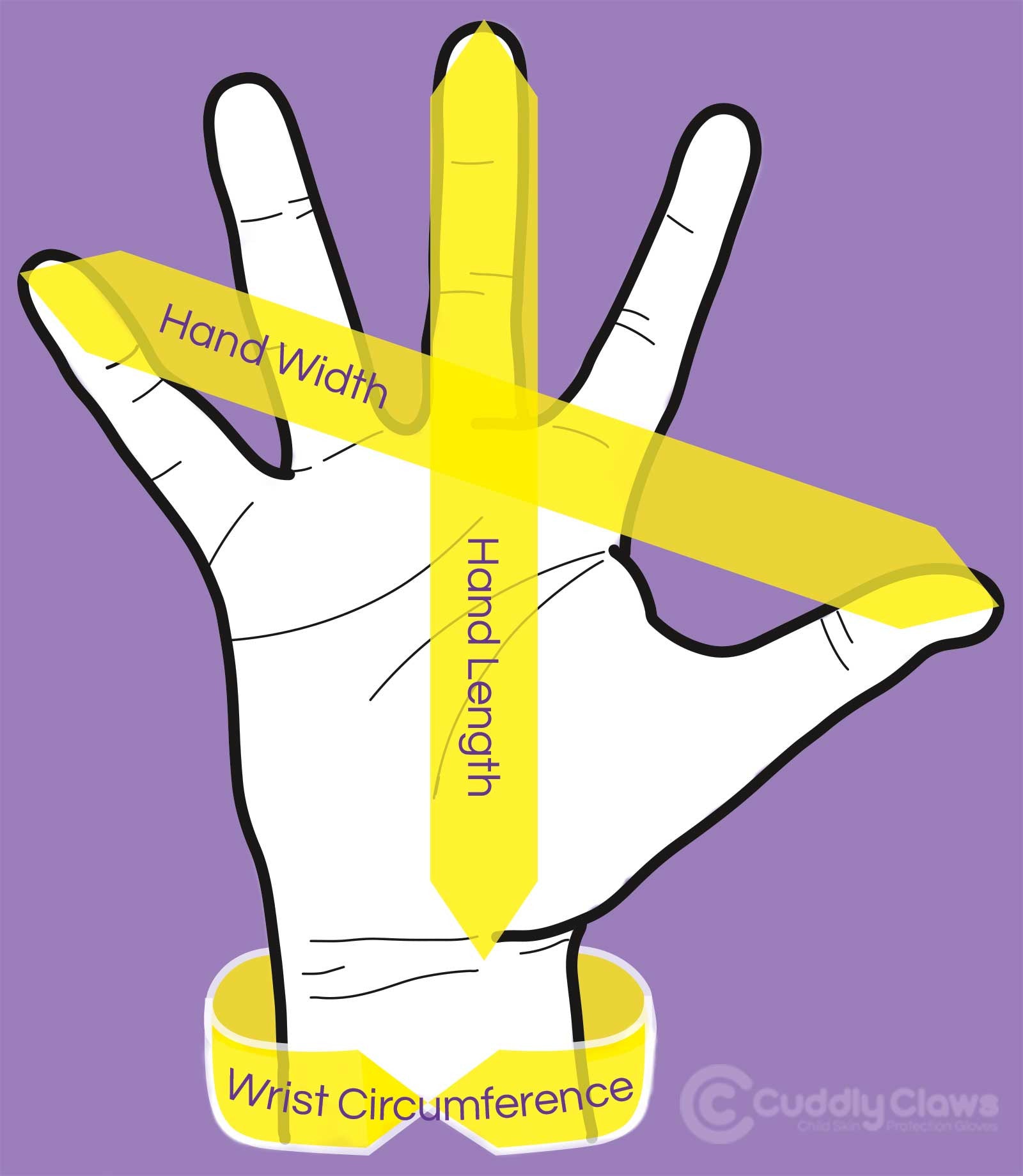 Hand measurements.